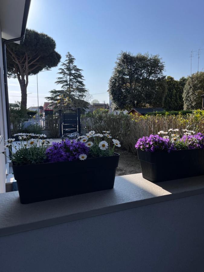 B&B A Due Passi Dal Mare Lido di Pomposa Eksteriør bilde